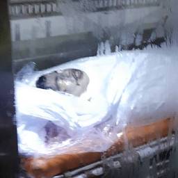 মো. আহাদুন